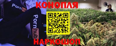 мдпв Беслан