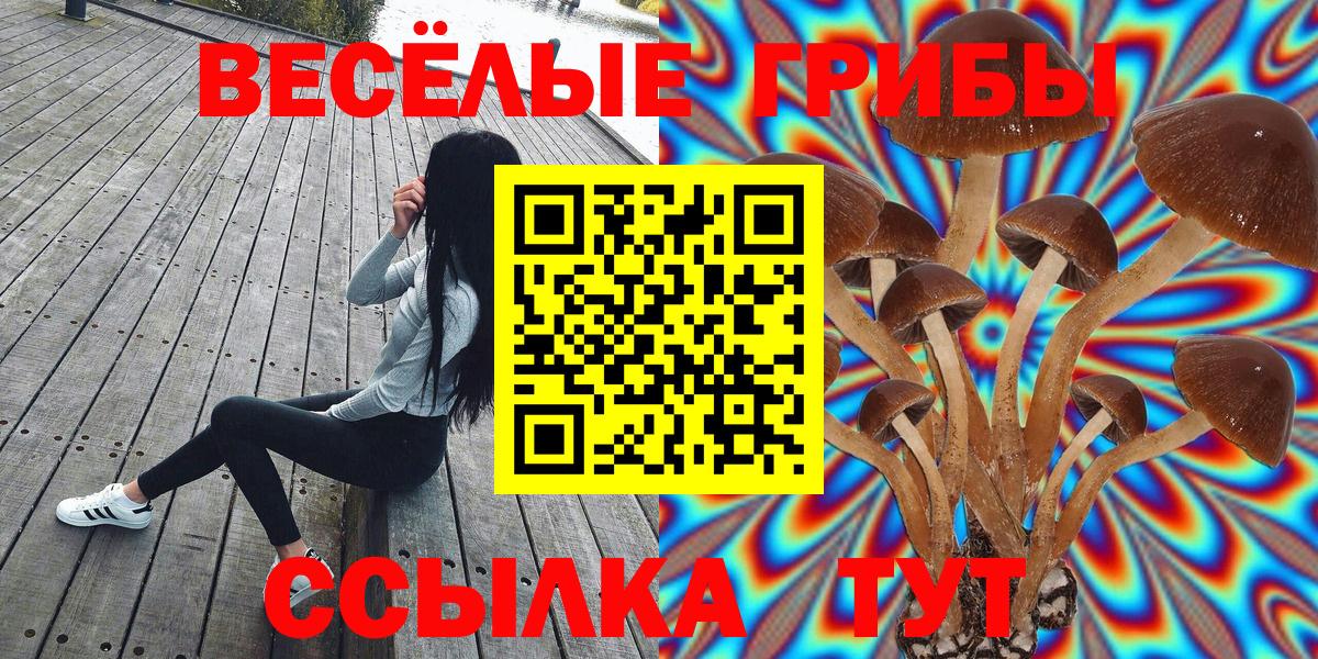 Псилоцибиновые грибы Cubensis Брянск