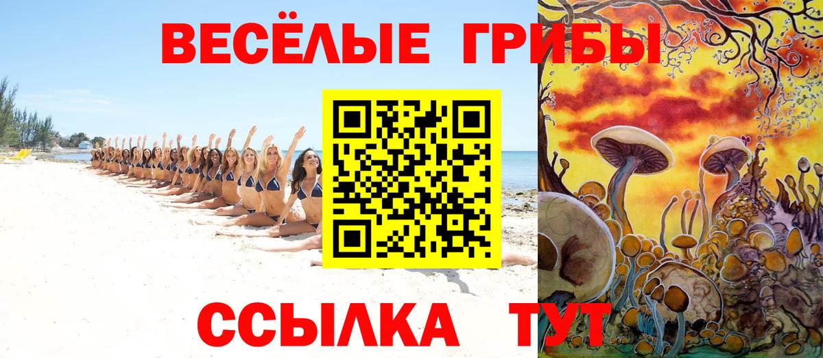 Брянск  Галлюциногенные грибы прущие грибы  Псилоцибиновые грибы Magic Shrooms  Вход с VPN 